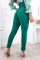 Green Casual Work Solid Patchwork High Waist Pencil Solid Color Bottoms