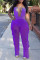 Purple Fashion Sexy Solid Hollowed Out Backless Halter Sleeveless Two Pieces