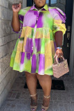 Purple Cyan Casual Print Patchwork Buckle Turndown Collar Shirt Dress Plus Size Dresses
