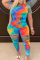 Peacock blue Fashion Casual Patchwork Print Tie Dye Hole Burn-out Two Piece Suits Plus Size Two Pieces