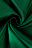 Ink Green Casual Elegant Solid Patchwork Zipper O Neck A Line Dresses