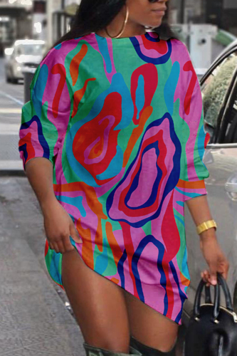 Multicolor Fashion Casual Print Basic O Neck Long Sleeve Plus Size Dresses
