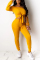 Yellow venetian Casual Two Piece Suits Solid Straight Long Sleeve Two-piece Pants Set