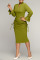 Green Elegant Solid Patchwork Frenulum Fold V Neck One Step Skirt Dresses