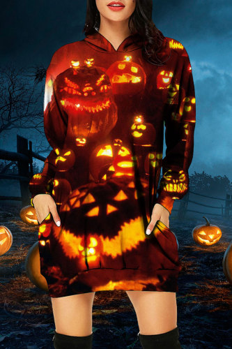 Tangerine Red Halloween Pumpkin Cat Print Long Sleeve Loose Straight Hooded Mini Dress