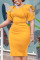 Yellow Casual Elegant Solid Patchwork O Neck One Step Skirt Dresses