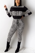 Grey adult Fashion Casual Two Piece Suits Patchwork Print Leopard Straight Long Sleeve Two-pie