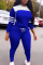 Blue Sexy Two Piece Suits Solid Patchwork pencil Long Sleeve Two-piece Pants Set