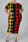 RedAndWhite Fashion Plus Size Plaid Printed Pocket Dress
