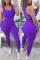 Purple Fashion Casual Vest Trousers Sports Set