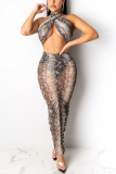 Leopard print Sexy Mesh Perspective Print Two Pieces