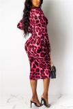 Brown Leopard Deep V Long Sleeve Dress