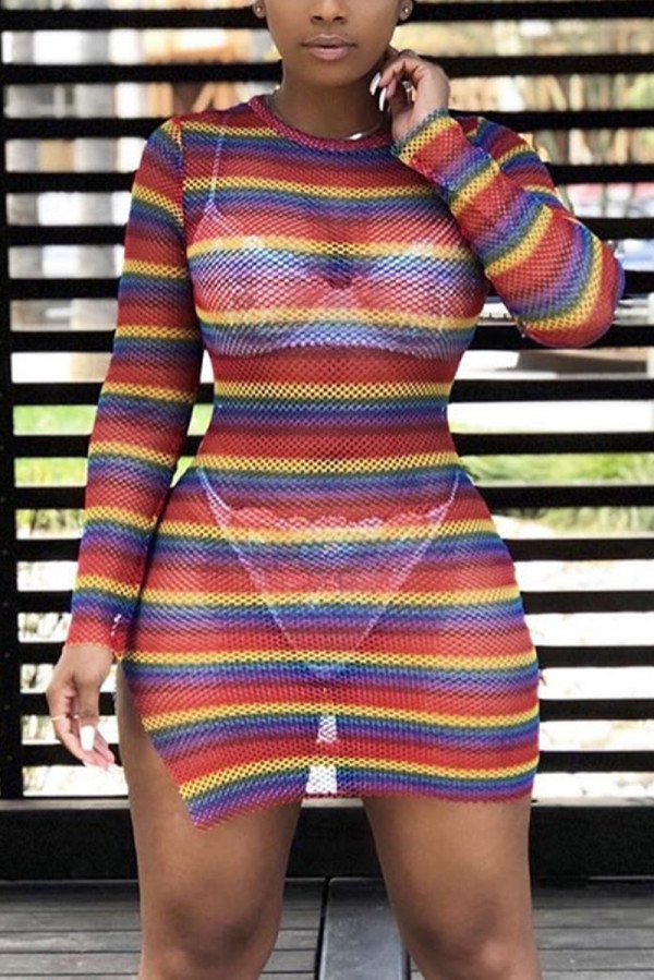 Multicolor Sexy Mesh Perspective Printing Dress