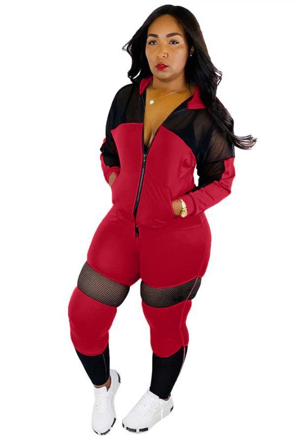 Red Casual Patchwork Mesh Solid pencil Long Sleeve Two-piece Pants Set