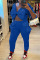 Blue Casual Solid Patchwork With Bow V Neck Long Sleeve Two Pieces