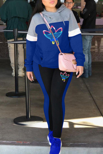 Blue Casual Print Patchwork Hooded Collar Long Sleeve Two Pieces