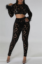 Black Sexy Casual Patchwork Feathers O Neck Long Sleeve Two Pieces
