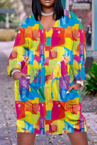 Colour Casual Print Patchwork V Neck Long Sleeve Dresses