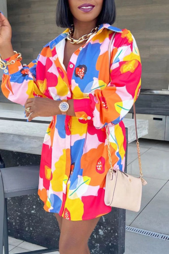 Multicolor Casual Print Patchwork Turndown Collar Long Sleeve Dresses