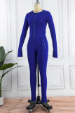 Blue Casual Sportswear Solid Patchwork Zipper Collar Long Sleeve Two Pieces