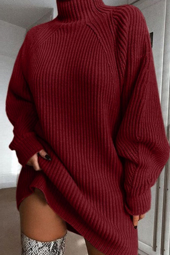 Burgundy Casual Solid Basic Turtleneck Long Sleeve Dresses