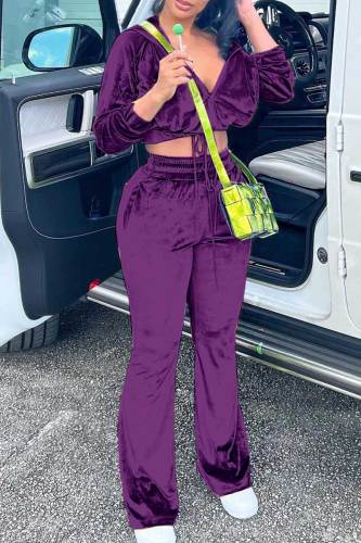Purple Casual Solid Patchwork Zipper Hooded Collar Long Sleeve Two Pieces