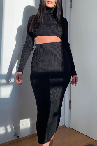 Black Sexy Solid Basic Turtleneck Long Sleeve Two Pieces