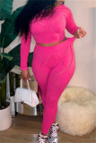 Rose Pink Casual Solid See-through O Neck Long Sleeve Two Pieces