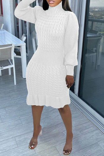 White Casual Solid Basic Turtleneck Long Sleeve Dresses