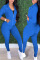 Royal Blue Casual Sportswear Solid Patchwork Zipper Long Sleeve Two Pieces