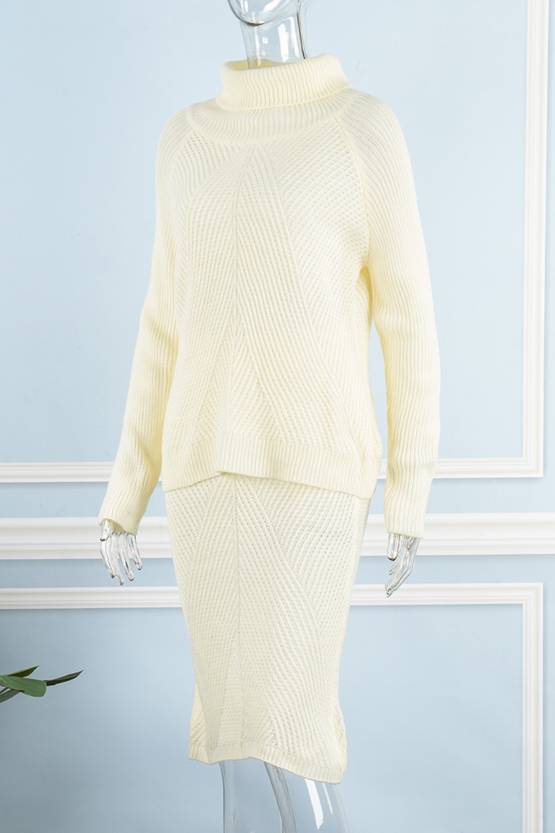 Casual Solid Solid Color Turtleneck Two Pieces