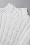 White Casual Solid Basic Turtleneck Long Sleeve Dresses
