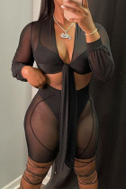 Black Sexy Solid See-through V Neck Long Sleeve Four Piece Set