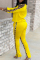 Orange Fashion Casual Print Hollowed Out Patchwork Slit Zipper Collar Long Sleeve Two Pieces