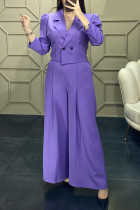 Purple Casual Work Solid Buttons Turn-back Collar Two Pieces