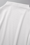 Dark Gray Casual Solid Basic Turtleneck Long Sleeve Dresses