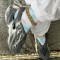 White Casual Hollowed Out Round Comfortable Shoes