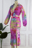 Multicolor Sexy Print Bandage Patchwork Slit V Neck Long Sleeve Two Pieces