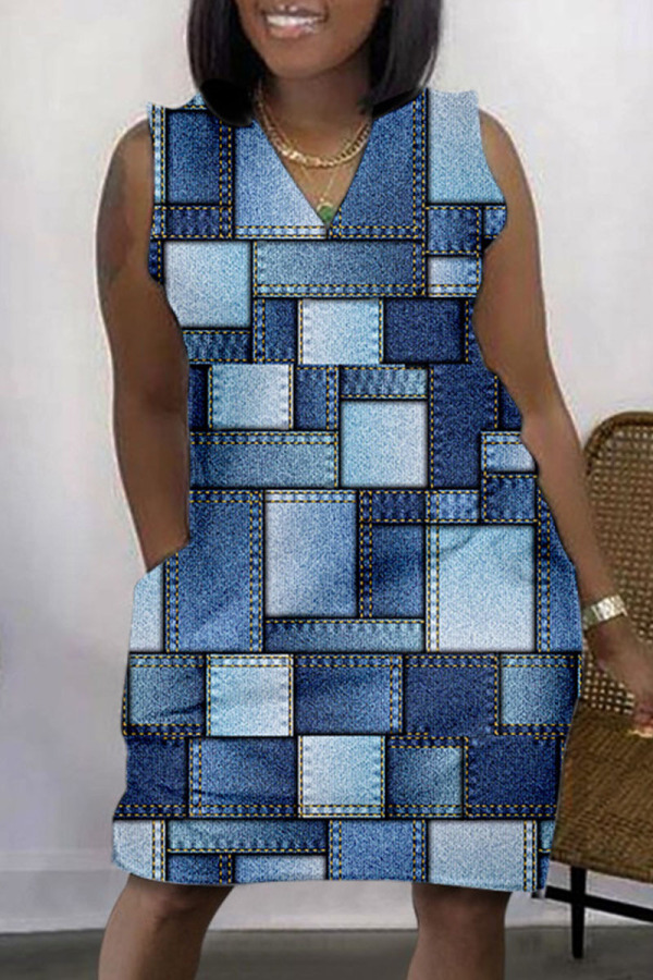Blue Casual Print Basic V Neck Sleeveless Dress Dresses