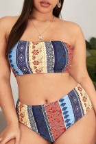 Multicolor Sexy Print Backless Strapless Plus Size Swimwear (With Paddings)