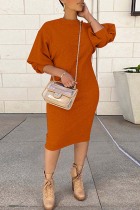 Brown Casual Solid Basic O Neck Long Sleeve Dresses