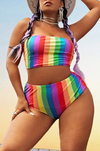 Colour Sexy Striped Print Backless Strapless Plus Size Swimwear
