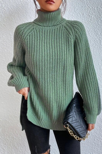 Light Green Casual Solid Basic Turtleneck Tops