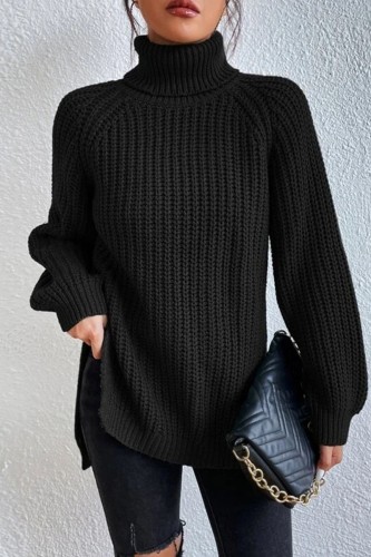Black Casual Solid Basic Turtleneck Tops