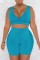Lake Blue Casual Solid Basic V Neck Sleeveless Two Pieces
