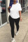 Purple Casual Solid Patchwork O Neck Short Sleeve Two Pieces