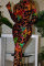 Brown Sexy Print Basic Printing O Neck Regular Jumpsuits