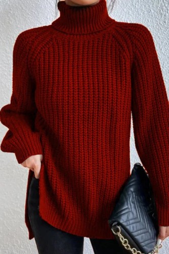 Burgundy Casual Solid Basic Turtleneck Tops