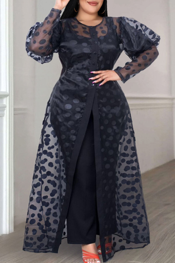 Black Casual Elegant Polka Dot Patchwork See-through Slit O Neck A Line Plus Size Dresses