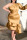 Gold Elegant Solid Patchwork Flounce Fold Asymmetrical Oblique Collar Irregular Dress Plus Size Dresses